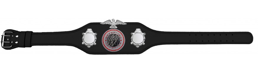 WRESTLING CHAMPIONSHIP BELT-BUD004/S/WRESTGEMS-4 COLOURS